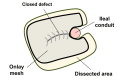 Figure 8