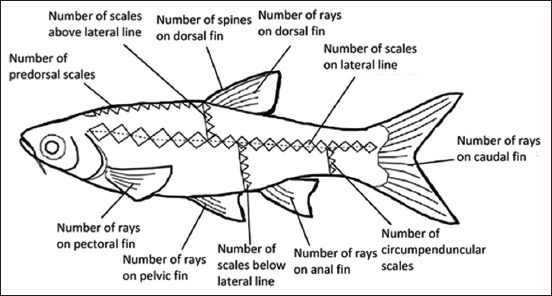 Figure-3