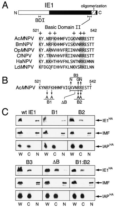 FIG. 3.