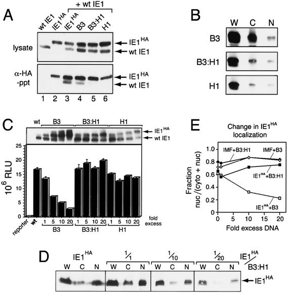 FIG. 9.