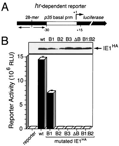 FIG. 5.