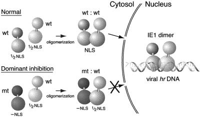 FIG. 10.