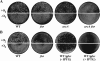 FIG. 8.