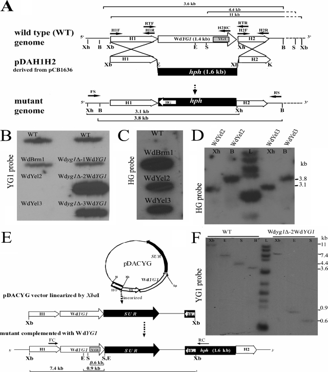 FIG. 3.