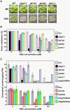 Figure 4.