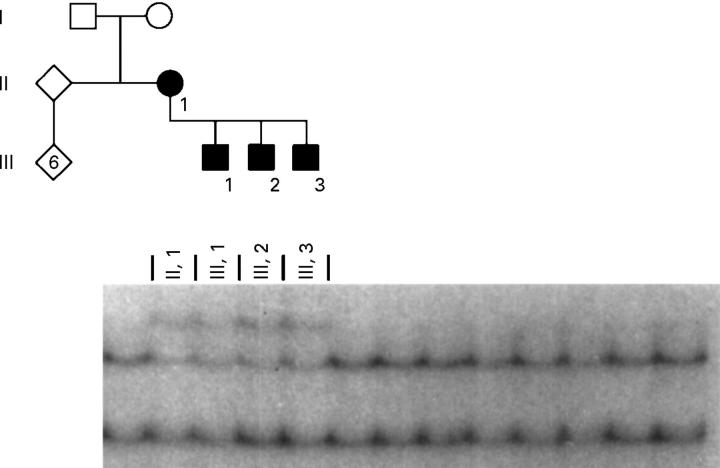 Figure 1  