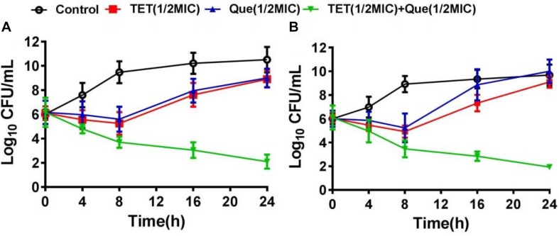 FIGURE 2