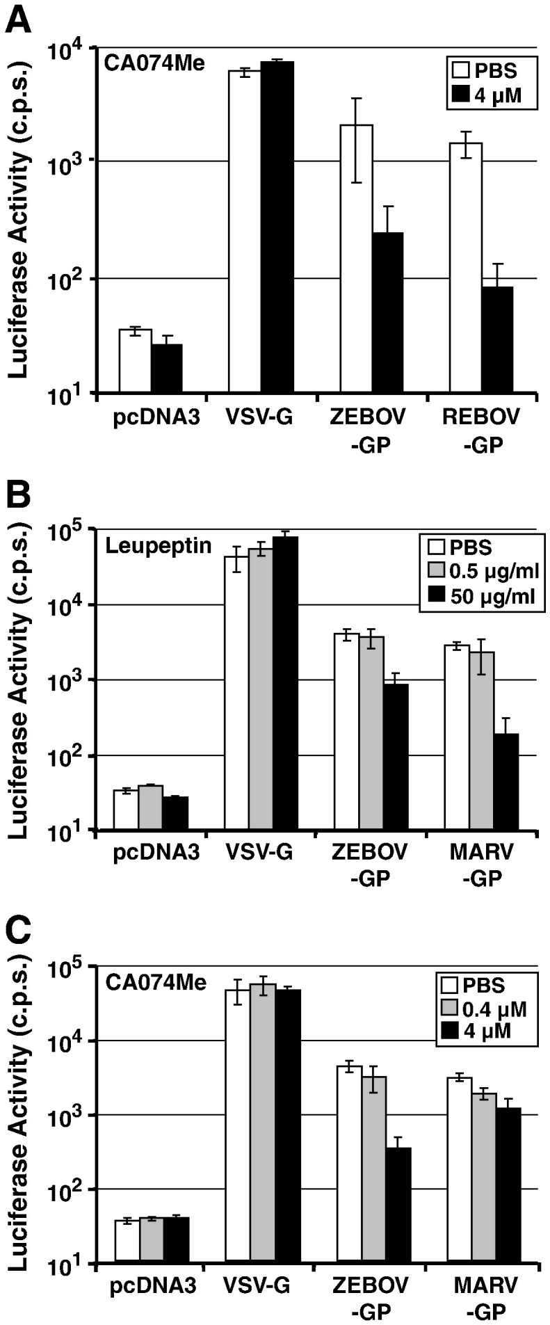 Fig. 6