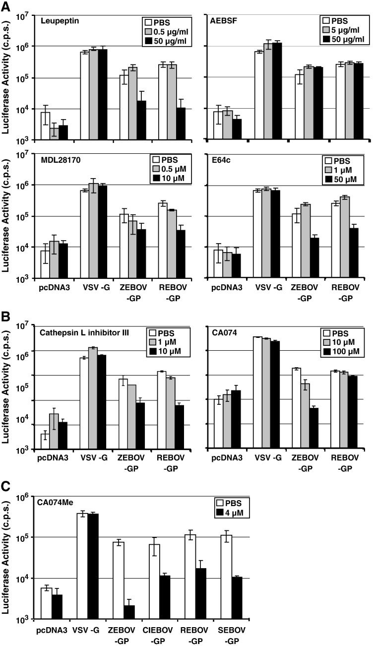 Fig. 2