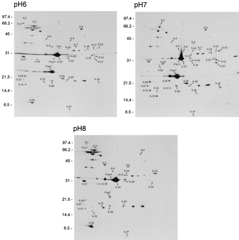 FIG. 4