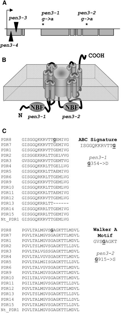 Figure 2.