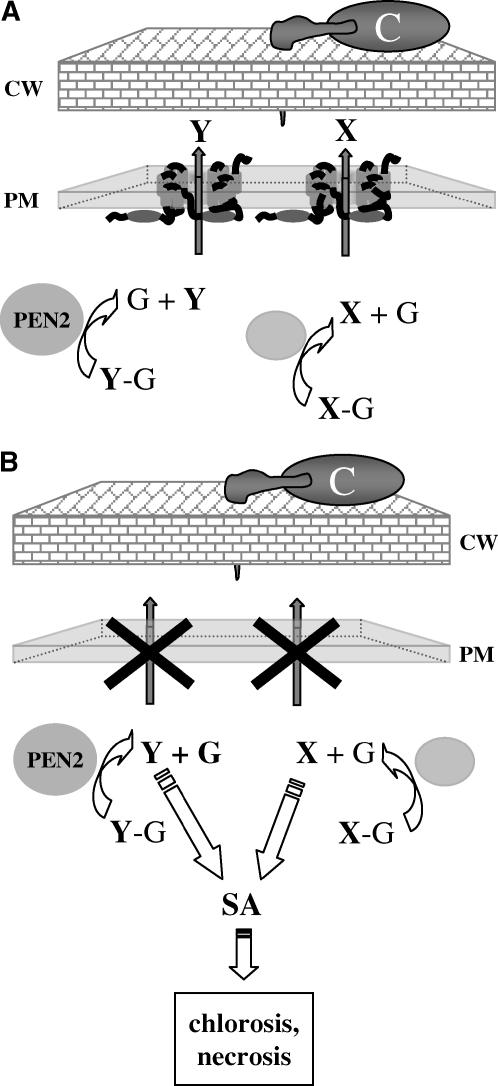 Figure 7.