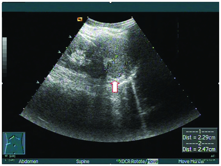 Figure 1.