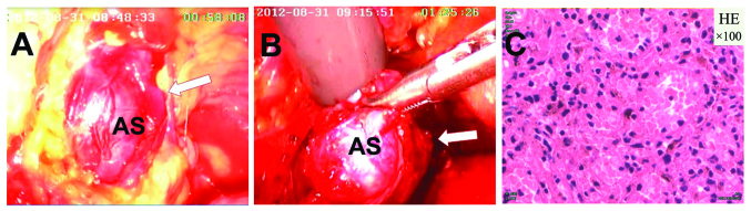 Figure 3.