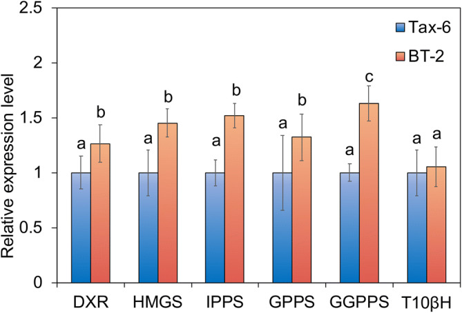 Figure 6