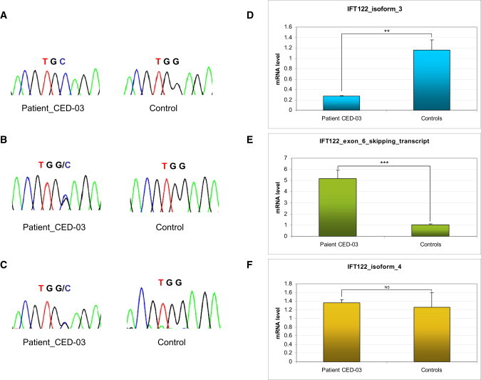 Figure 3