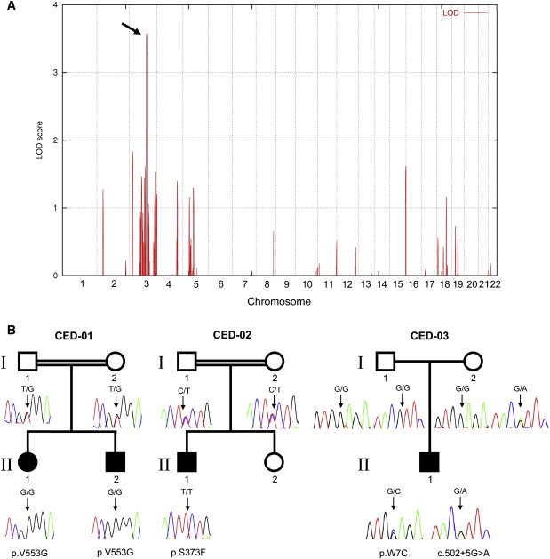 Figure 2