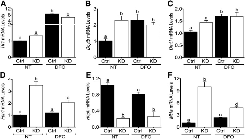 FIGURE 3