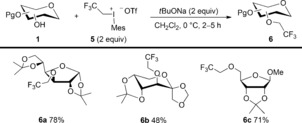 Scheme 5