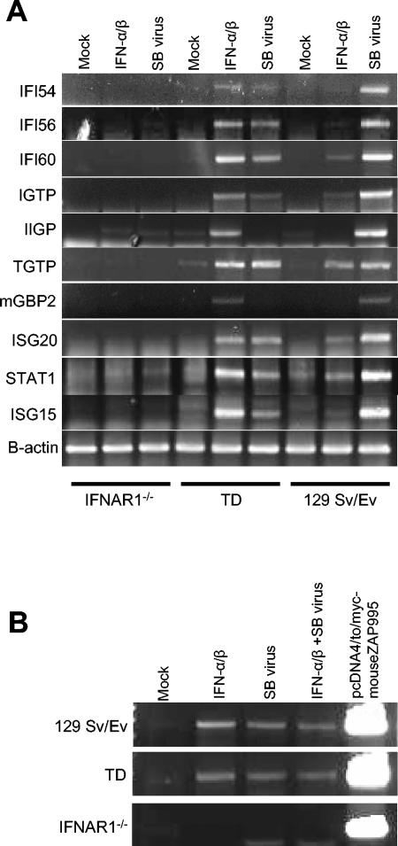 FIG. 6.