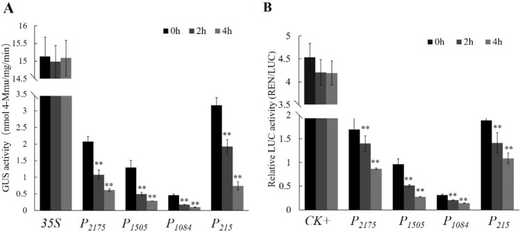 Fig. 6