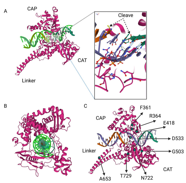 Figure 3