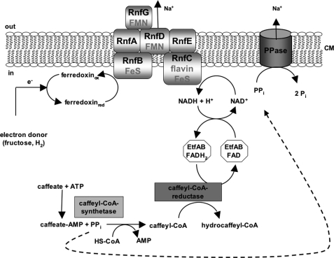 FIGURE 6.