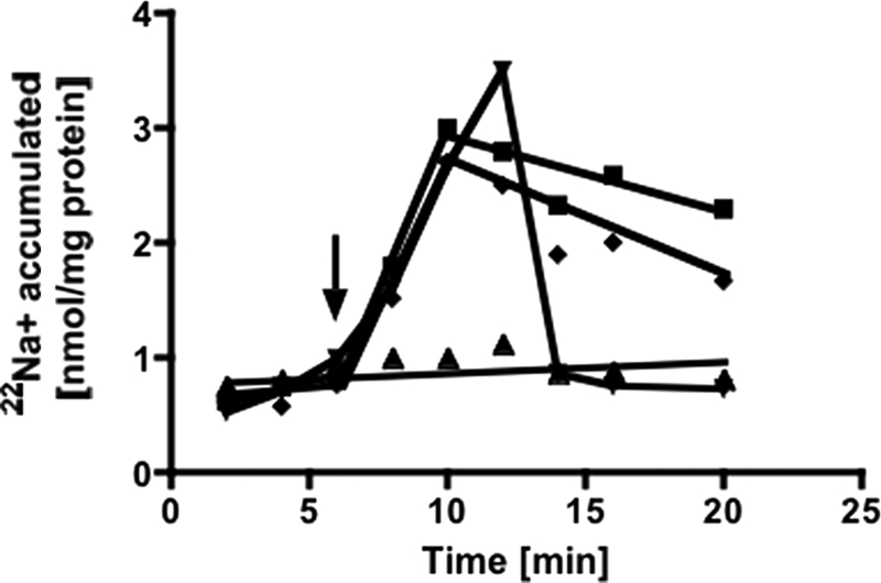 FIGURE 5.