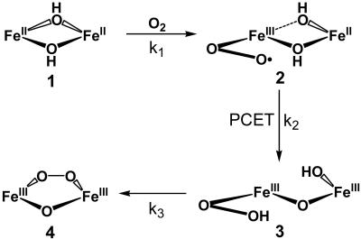 Scheme 1.