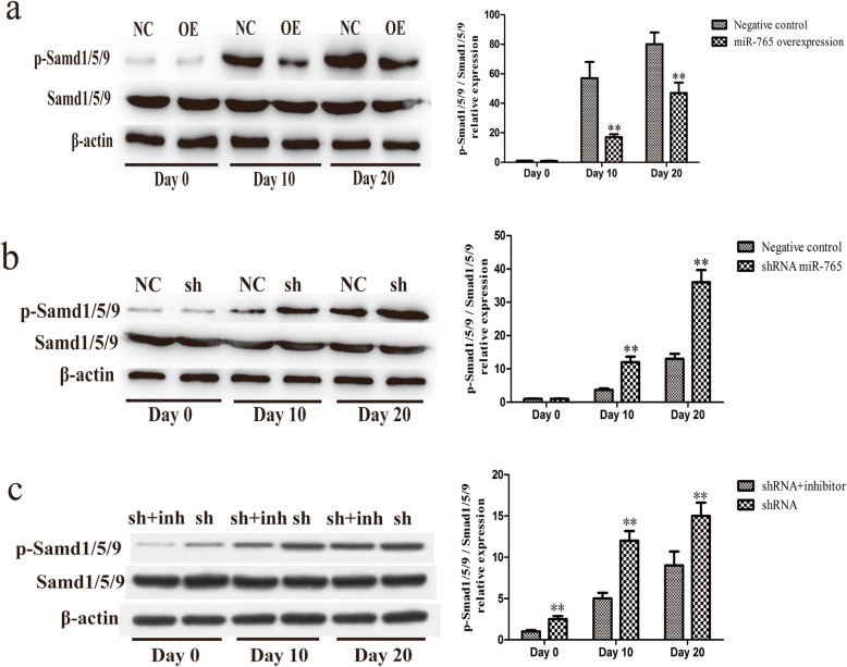 Fig. 9