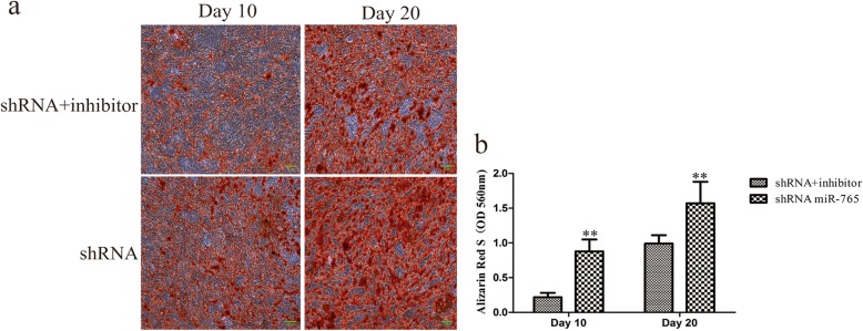 Fig. 7