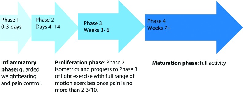 Figure 12.