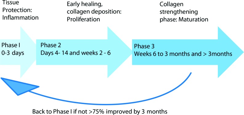 Figure 13.