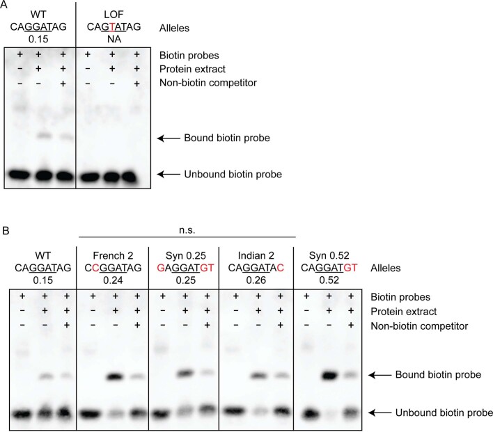 Extended Data Fig. 4