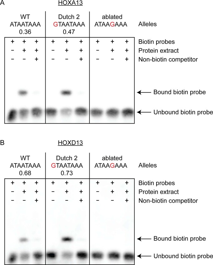 Extended Data Fig. 8