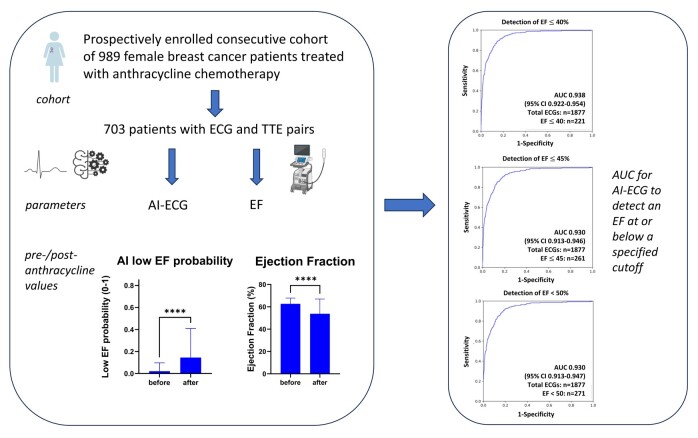 Graphical abstract