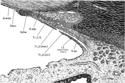 FIGURE 14.