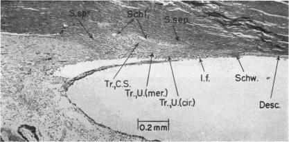 FIGURE 16.