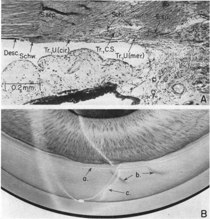 FIGURE 15.