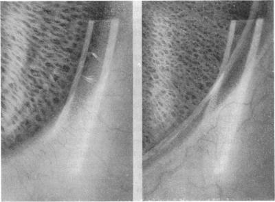 FIGURE 2. A,B