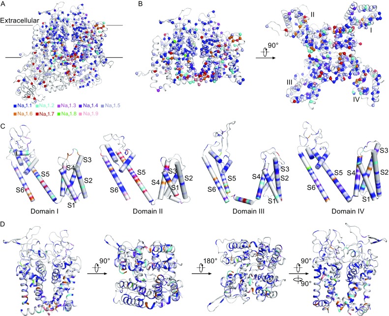 Figure 4