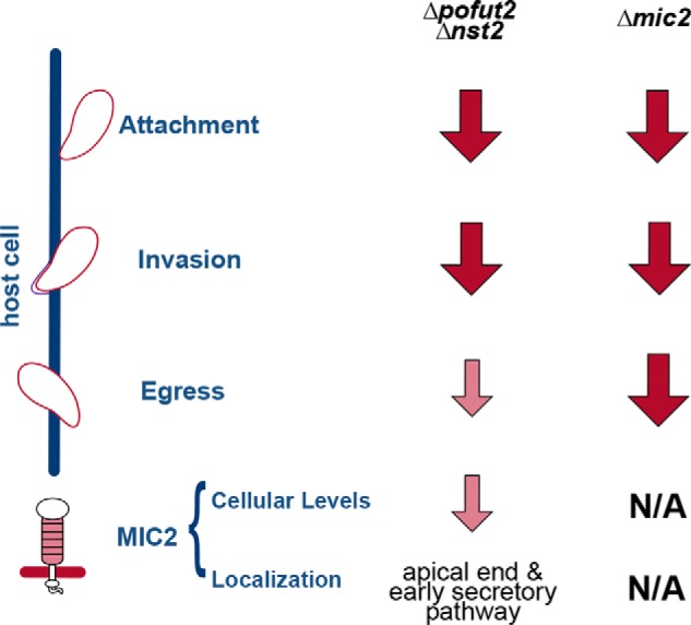 Figure 10.