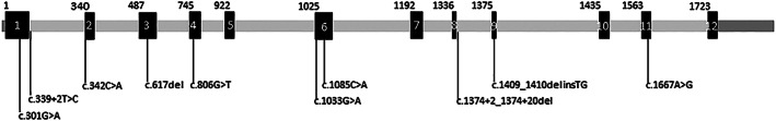 FIGURE 2