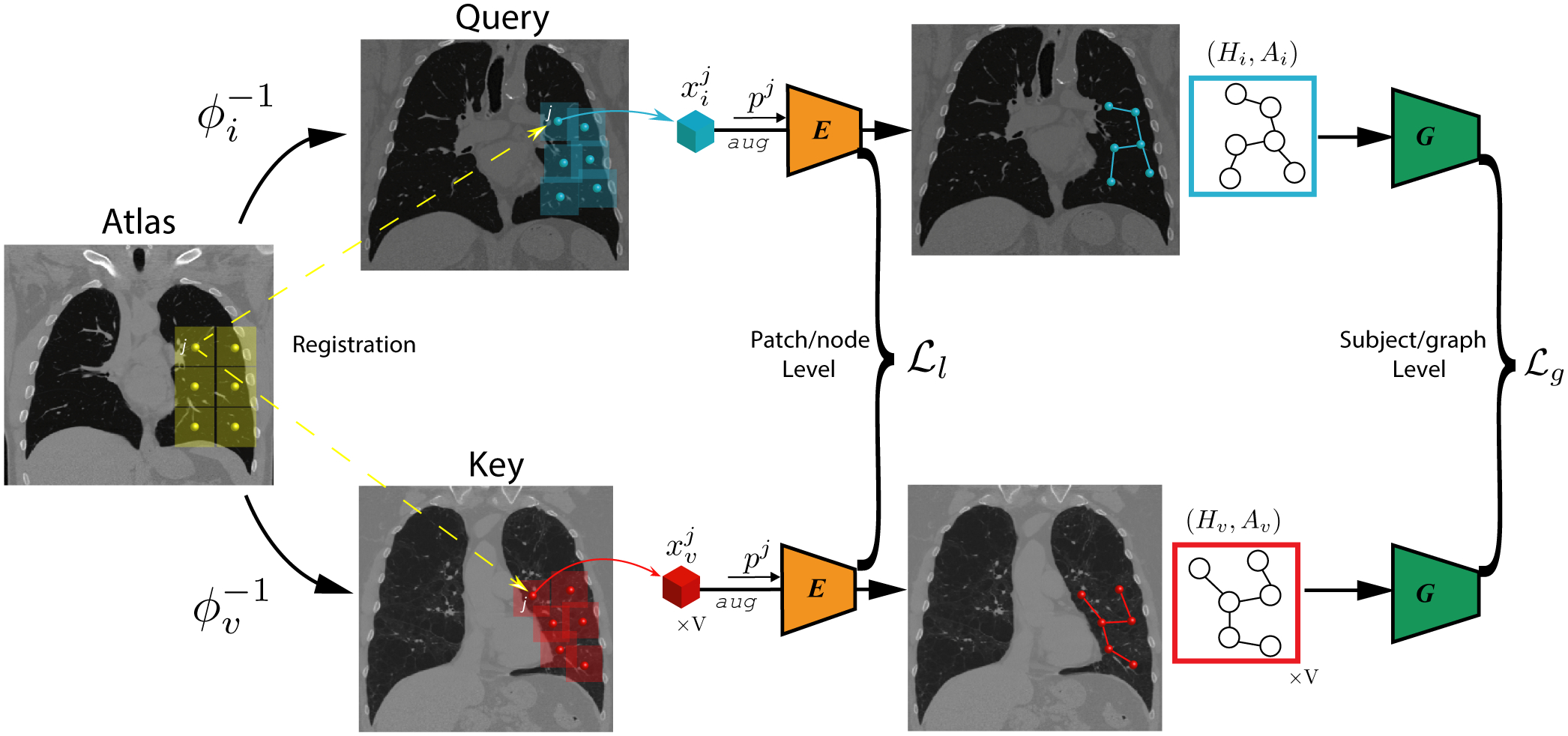 Figure 1: