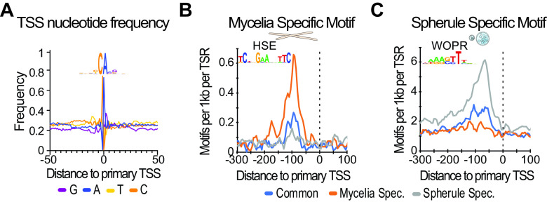 FIG 3