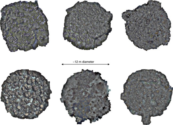 Figure 18