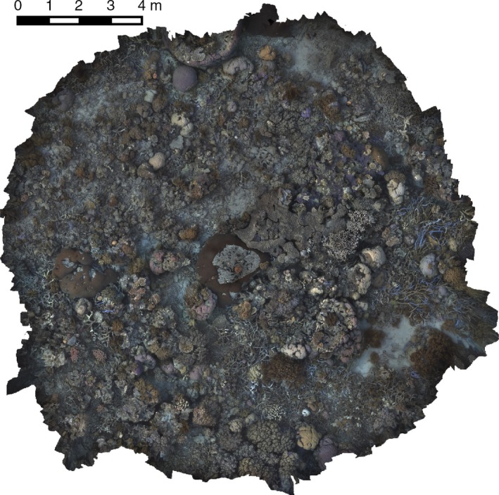 Figure 16