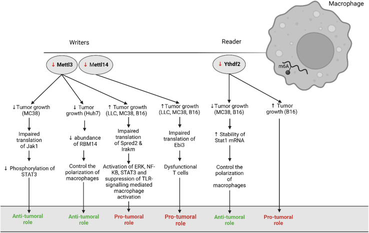 Figure 4