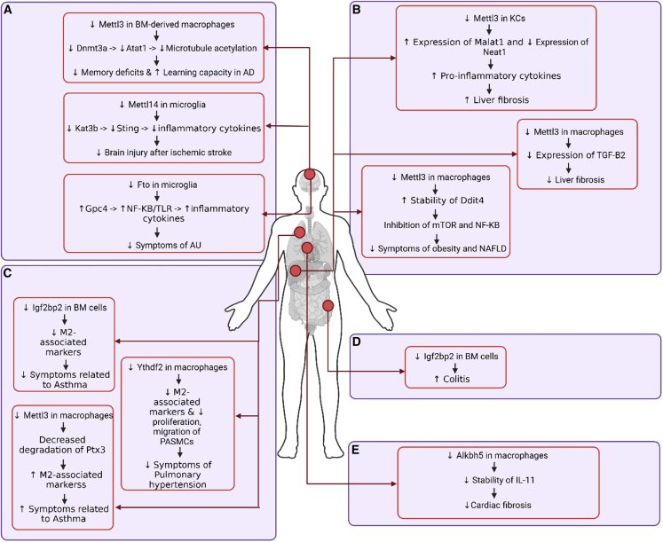 Figure 2