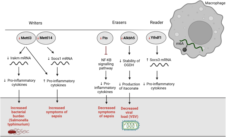 Figure 3